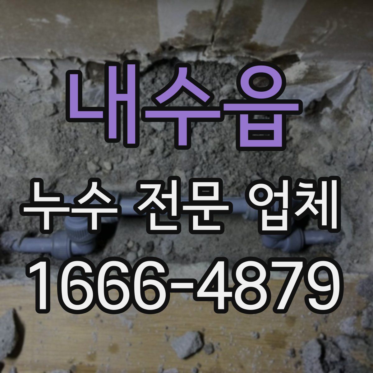 내수읍 누수 전문 업체