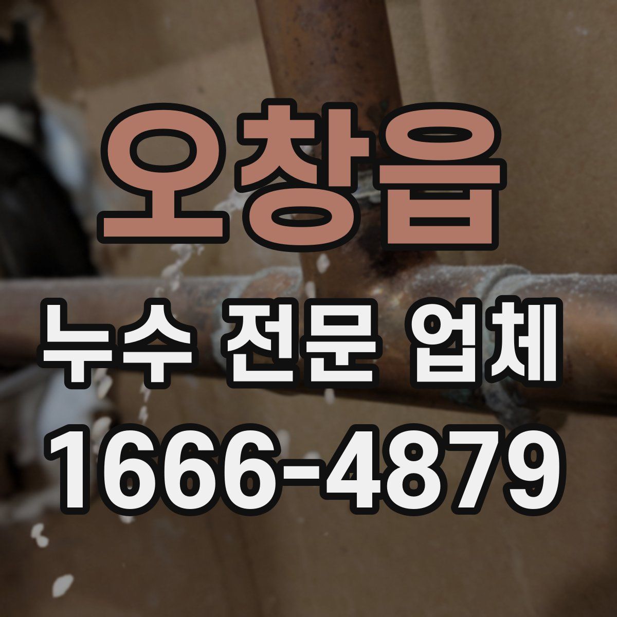 오창읍 누수 전문 업체