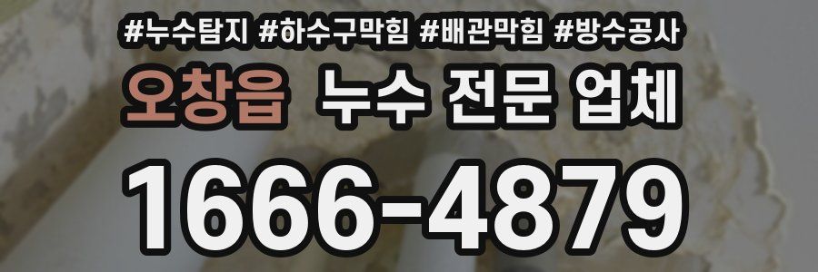 오창읍 누수 전문 업체