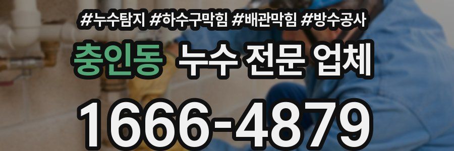 충인동 누수 전문 업체