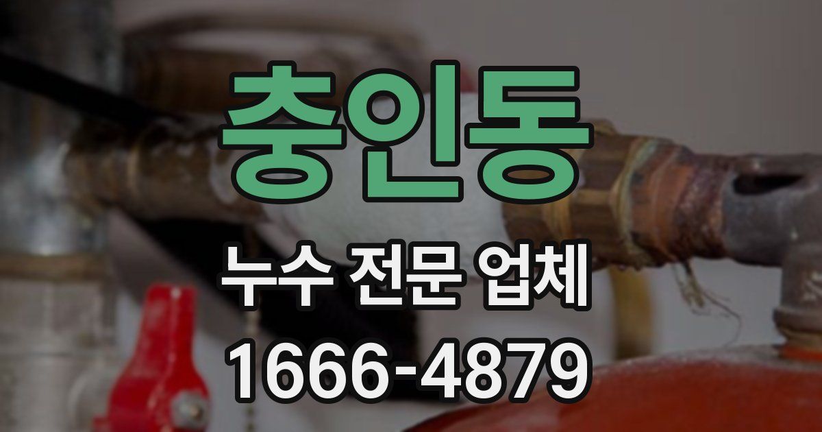 충인동 누수 전문 업체