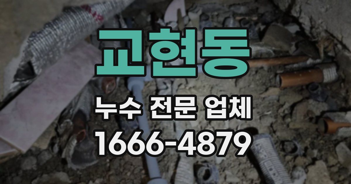 교현동 누수 전문 업체