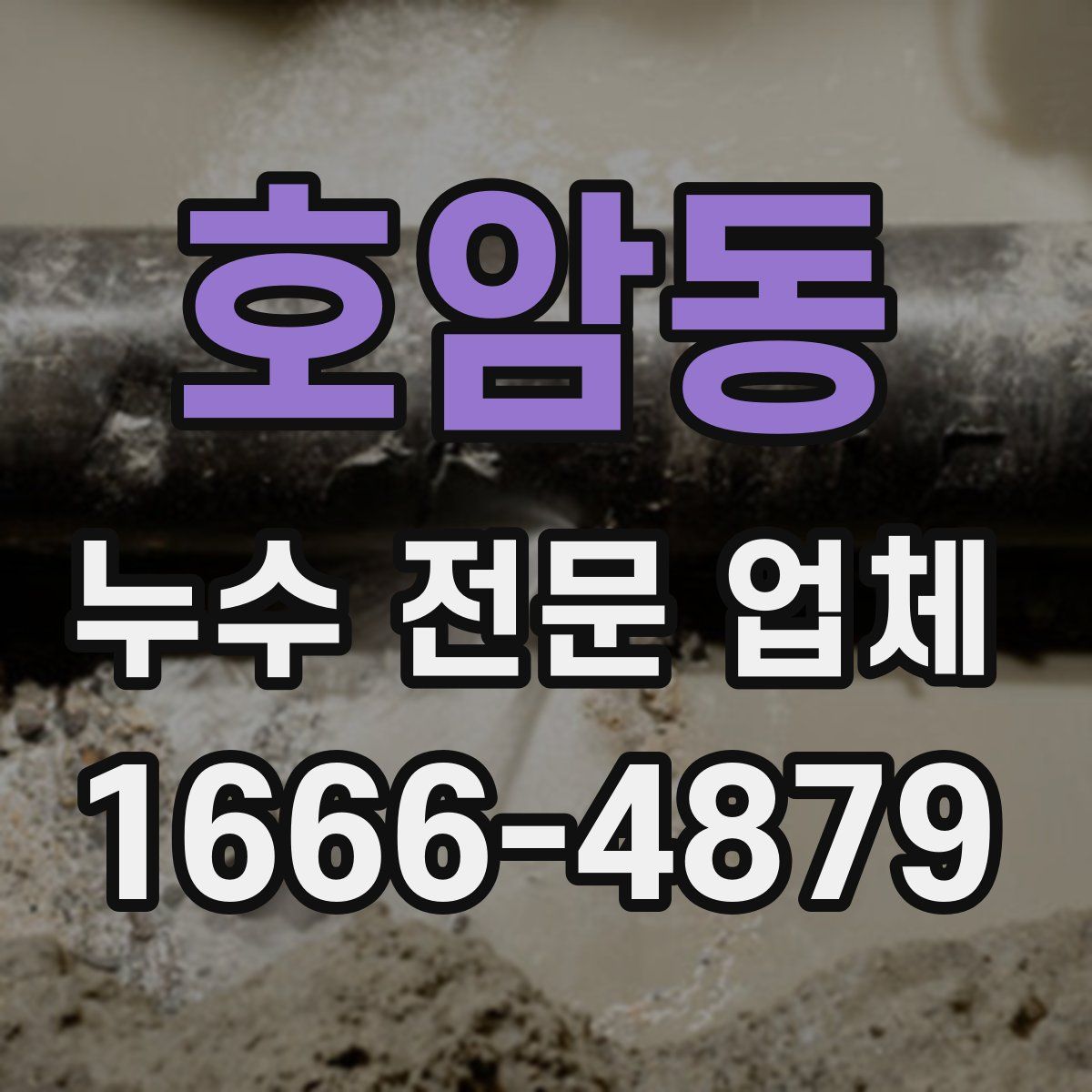 호암동 누수 전문 업체