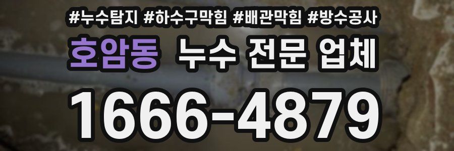 호암동 누수 전문 업체