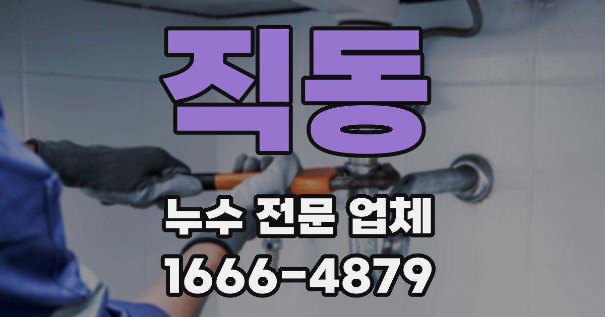 직동 누수 전문 업체