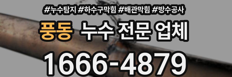 풍동 누수 전문 업체