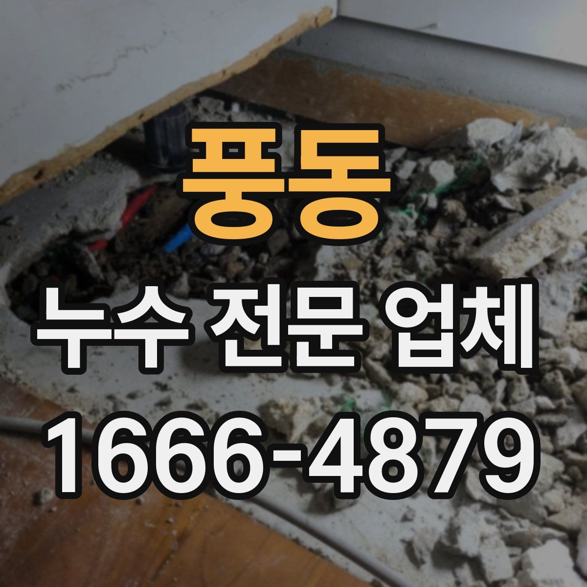 풍동 누수 전문 업체