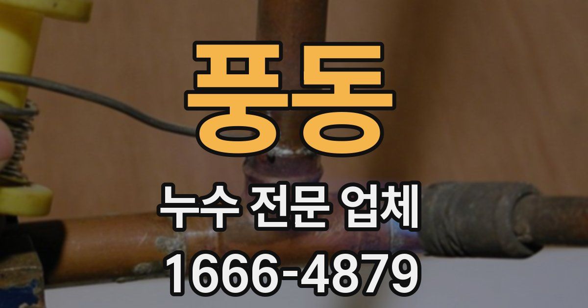 풍동 누수 전문 업체