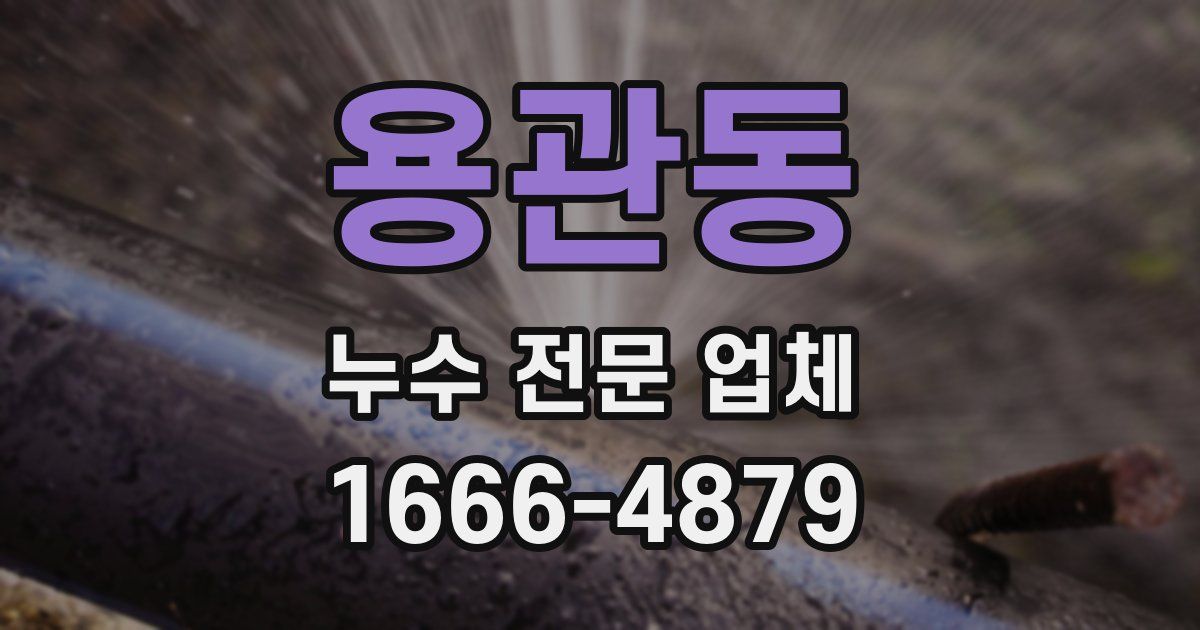 용관동 누수 전문 업체