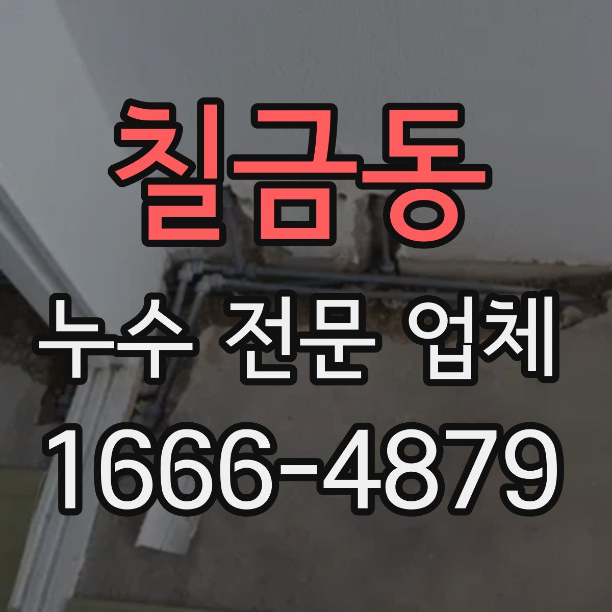 칠금동 누수 전문 업체