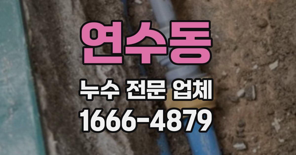 연수동 누수 전문 업체