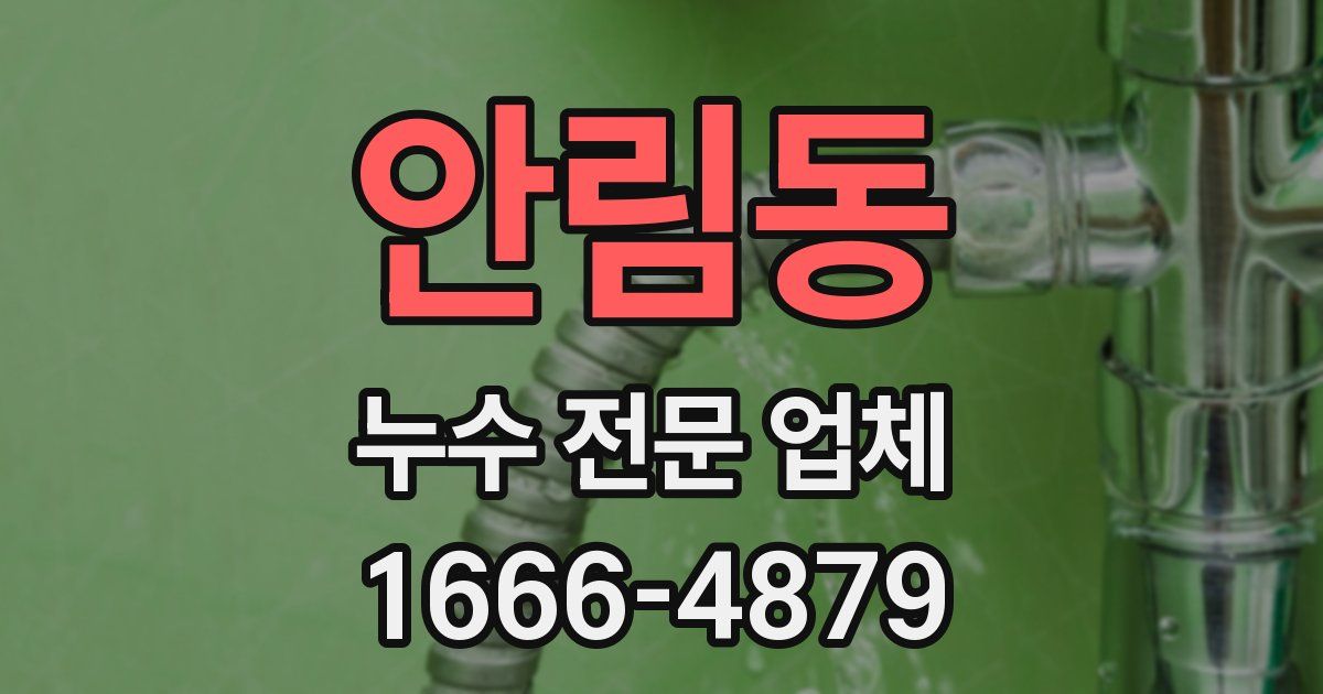 안림동 누수 전문 업체