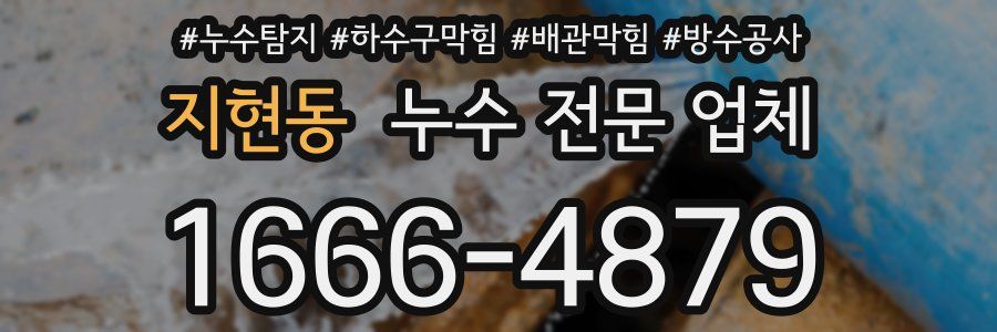 지현동 누수 전문 업체