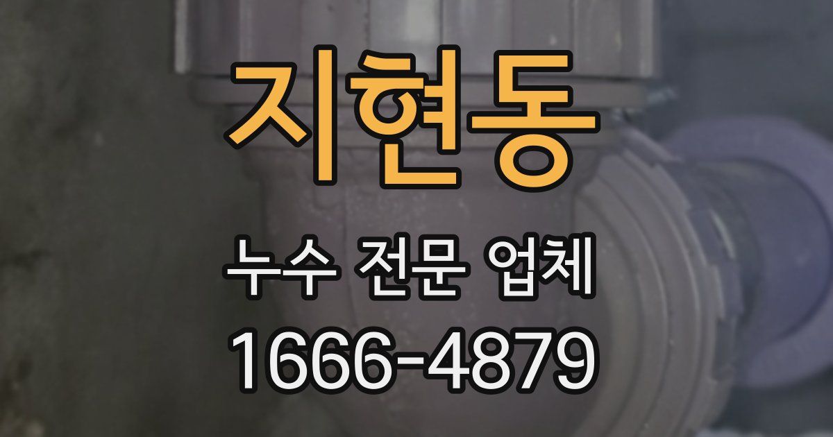 지현동 누수 전문 업체