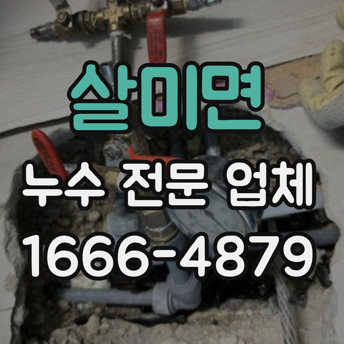 살미면 누수 전문 업체