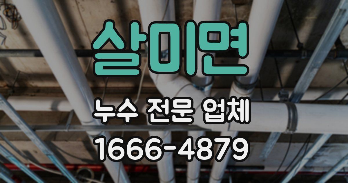 살미면 누수 전문 업체
