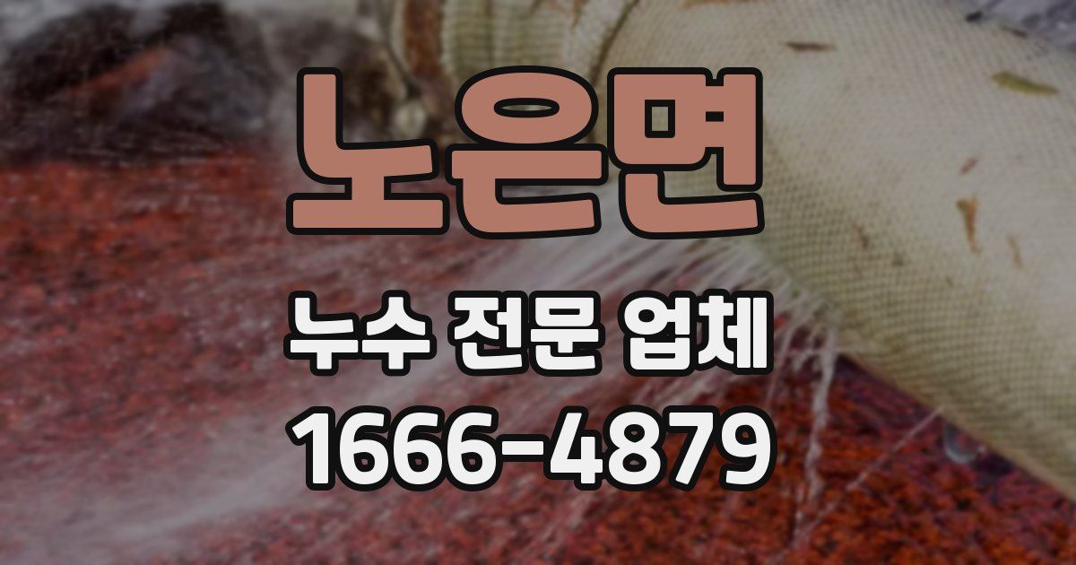 노은면 누수 전문 업체