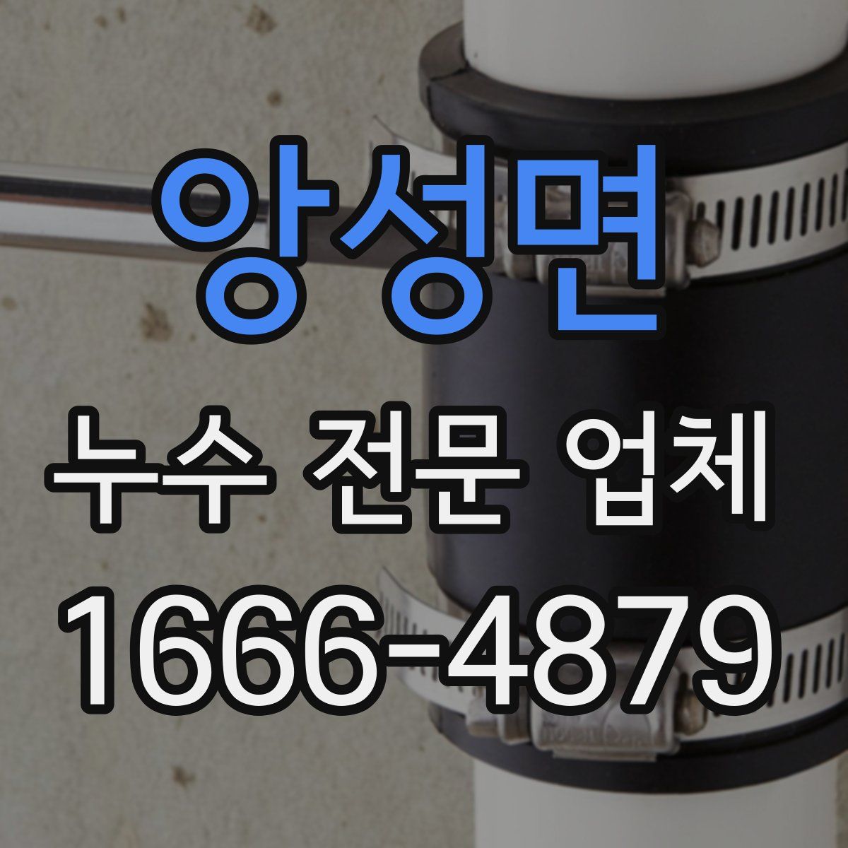 앙성면 누수 전문 업체