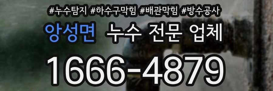 앙성면 누수 전문 업체
