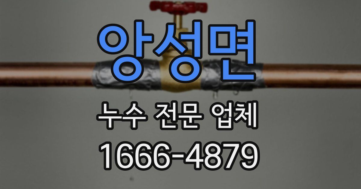 앙성면 누수 전문 업체