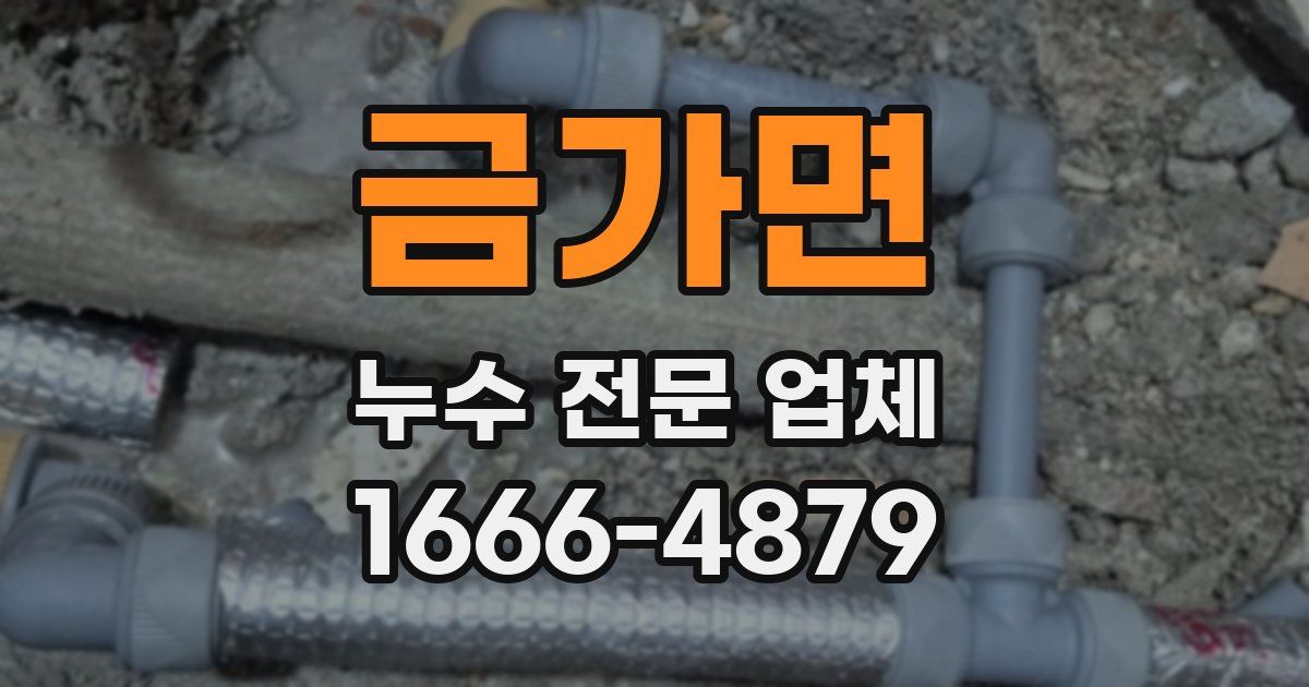 금가면 누수 전문 업체