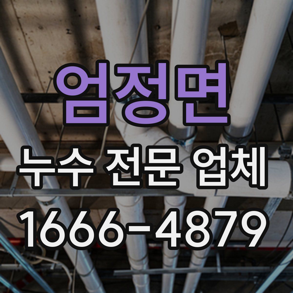 엄정면 누수 전문 업체