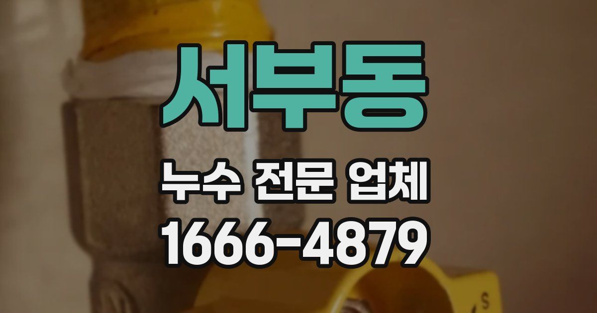 서부동 누수 전문 업체
