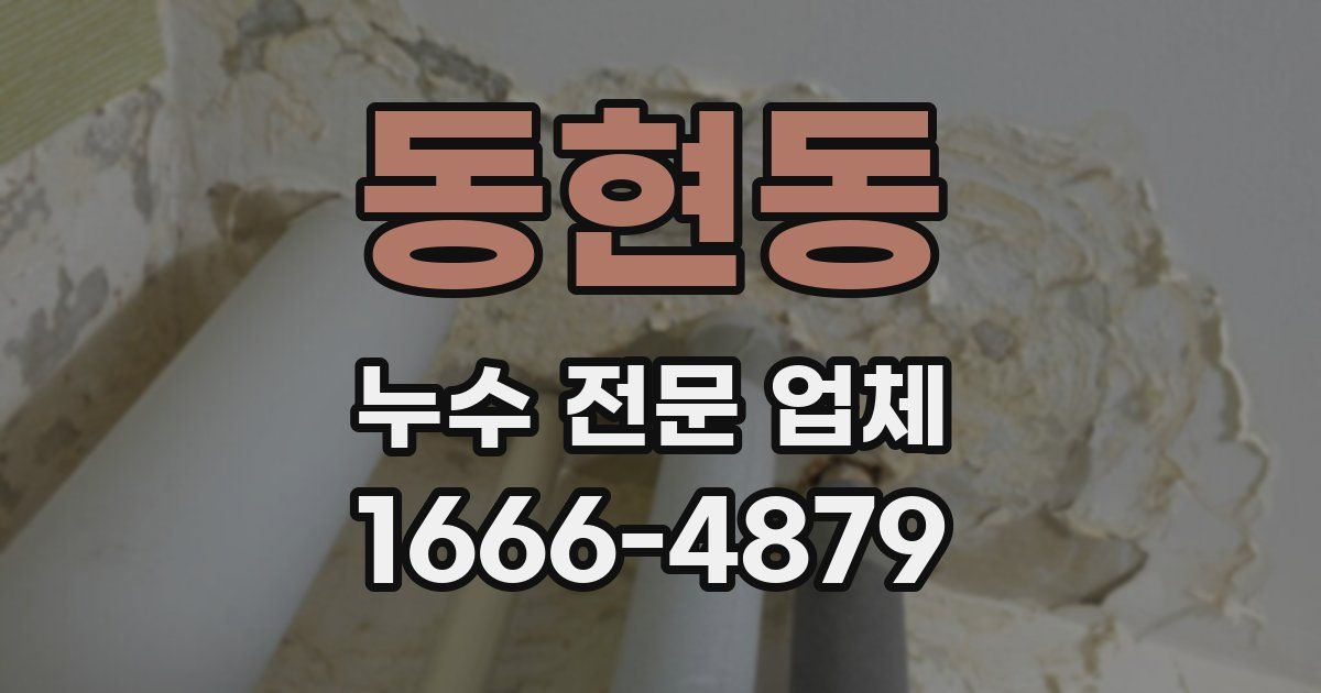 동현동 누수 전문 업체