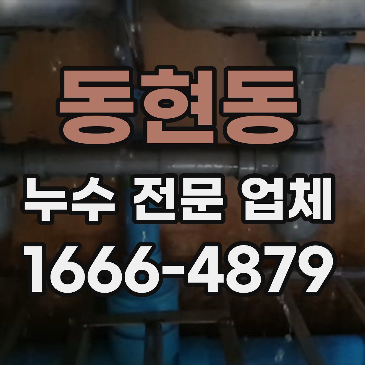 동현동 누수 전문 업체