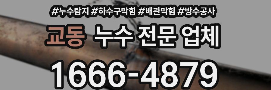 교동 누수 전문 업체