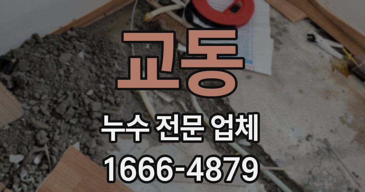 교동 누수 전문 업체