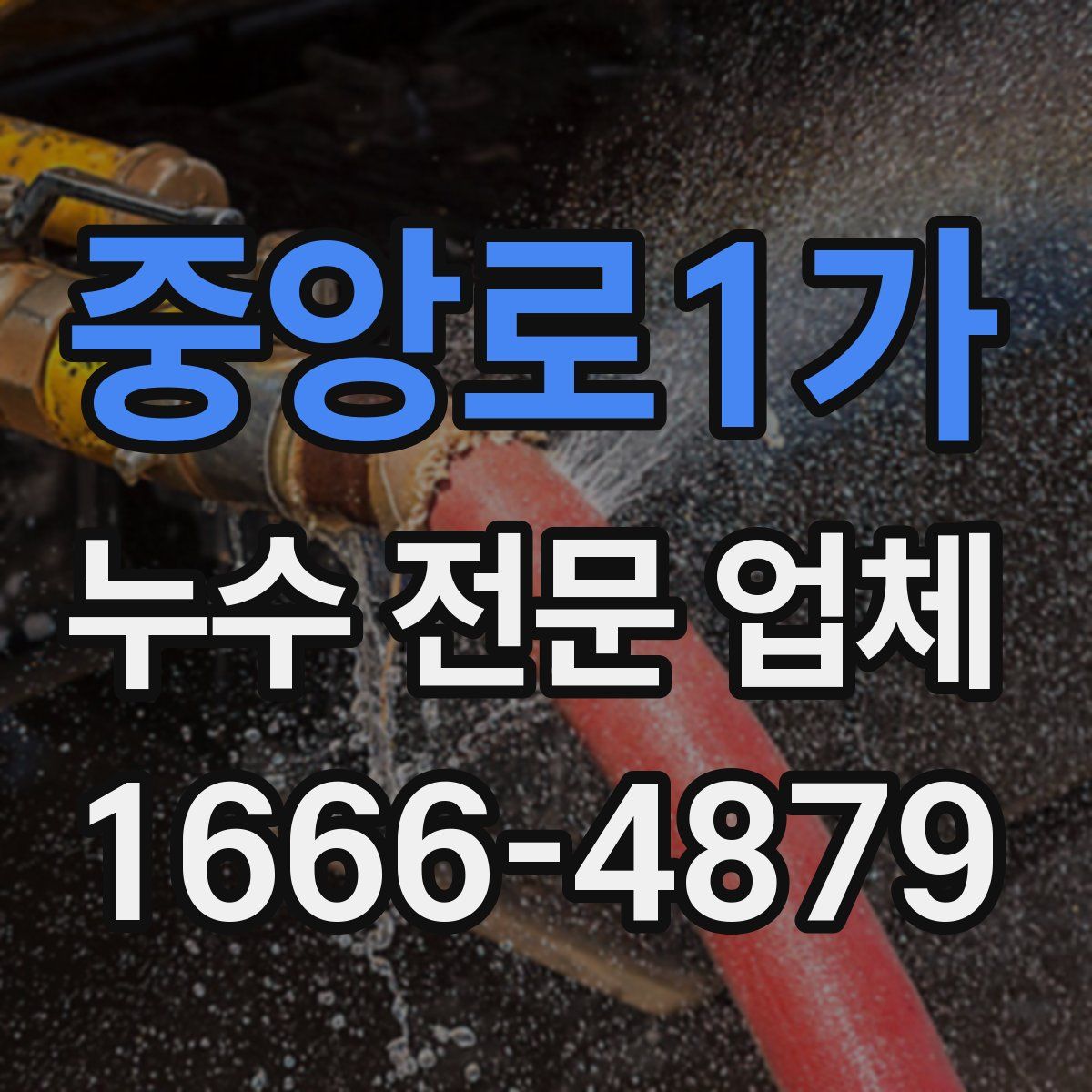 중앙로1가 누수 전문 업체