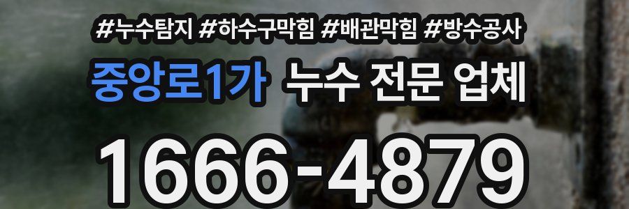중앙로1가 누수 전문 업체