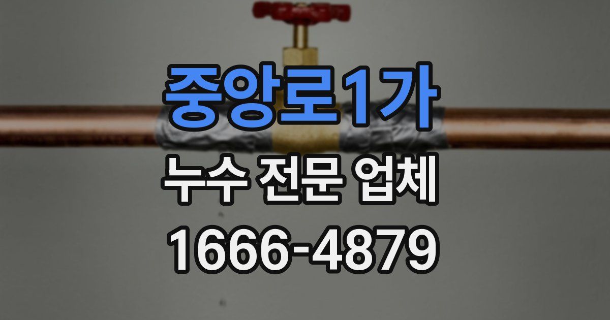 중앙로1가 누수 전문 업체