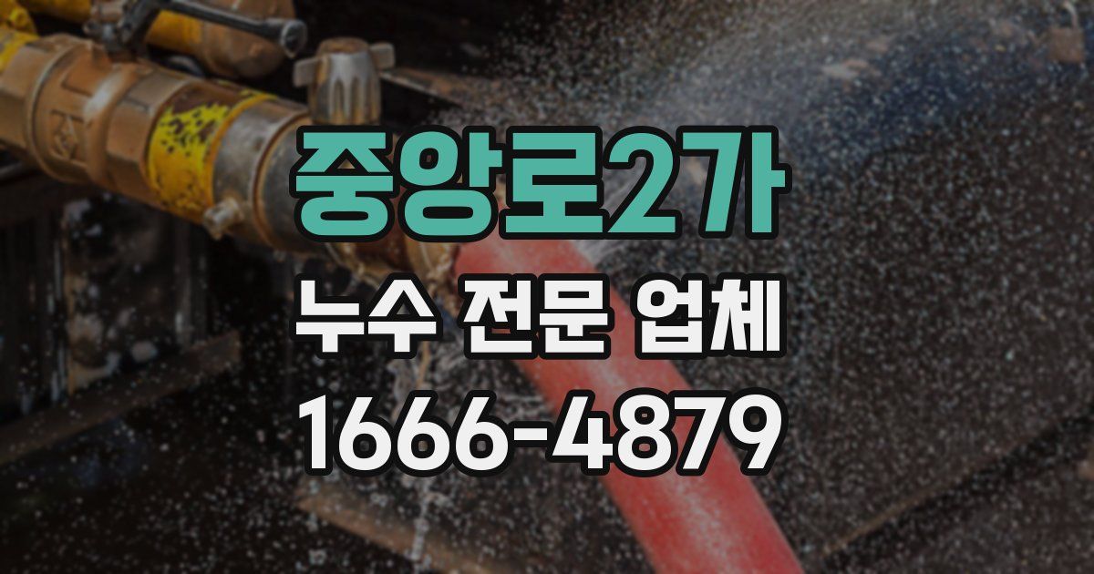 중앙로2가 누수 전문 업체