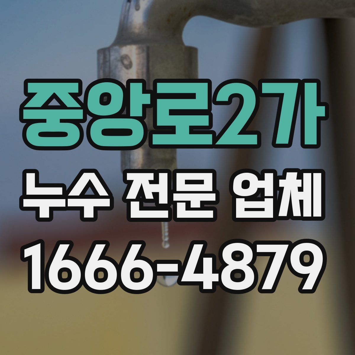 중앙로2가 누수 전문 업체