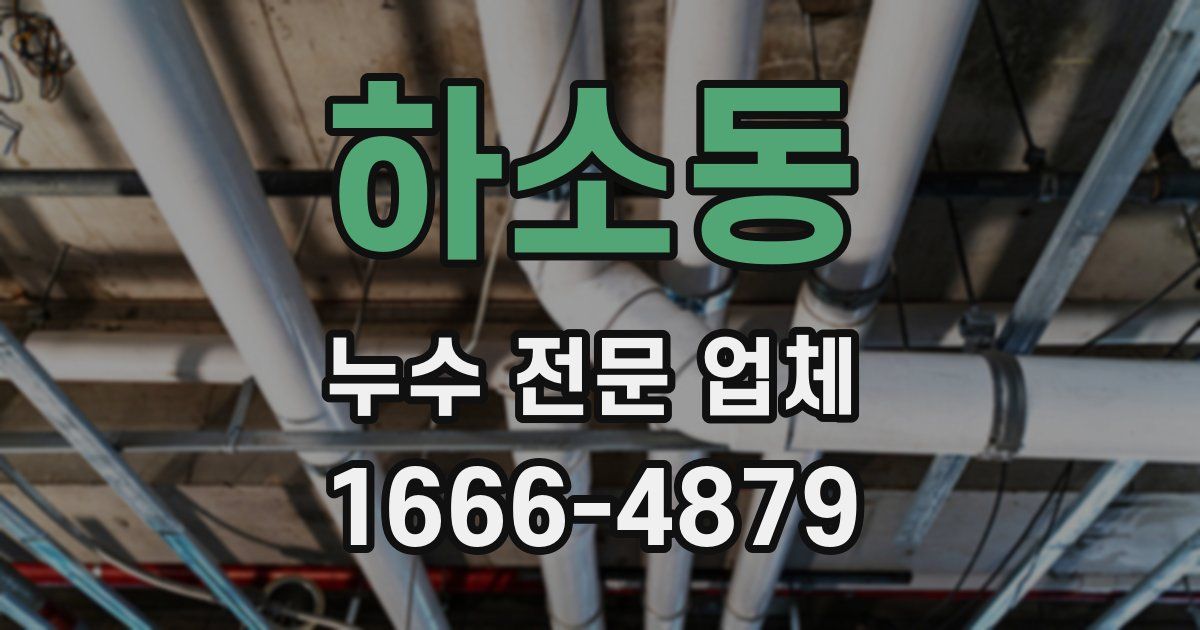 하소동 누수 전문 업체