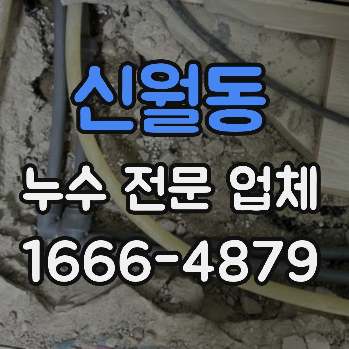 신월동 누수 전문 업체