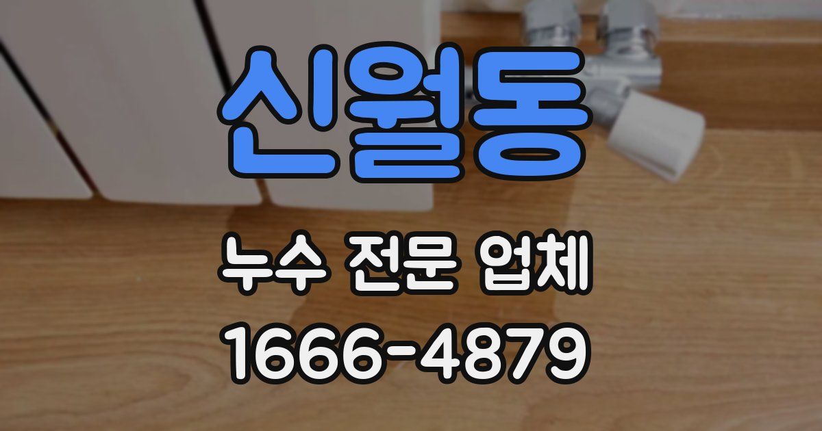 신월동 누수 전문 업체