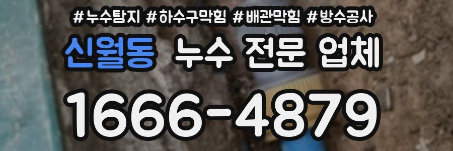 신월동 누수 전문 업체