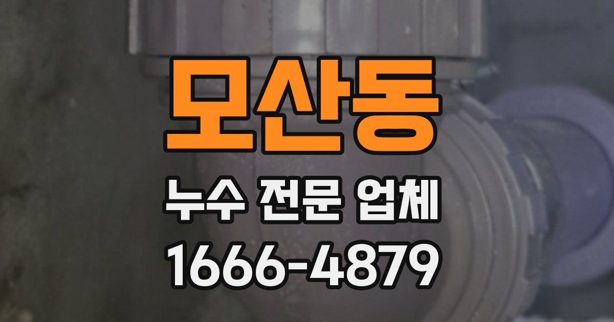 모산동 누수 전문 업체