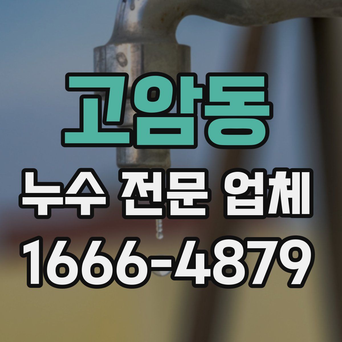 고암동 누수 전문 업체