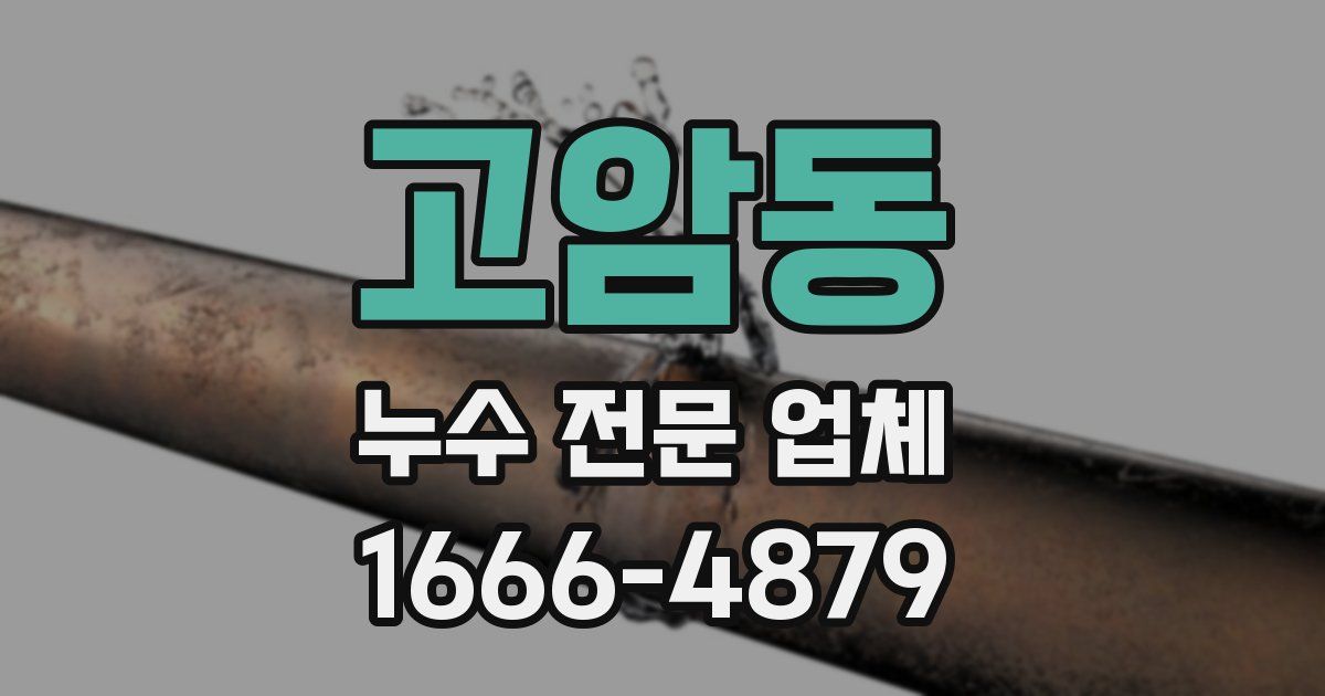 고암동 누수 전문 업체