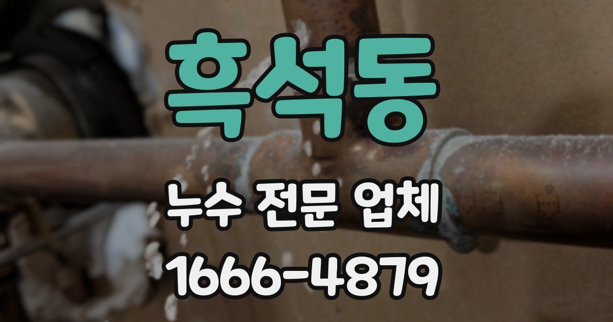 흑석동 누수 전문 업체
