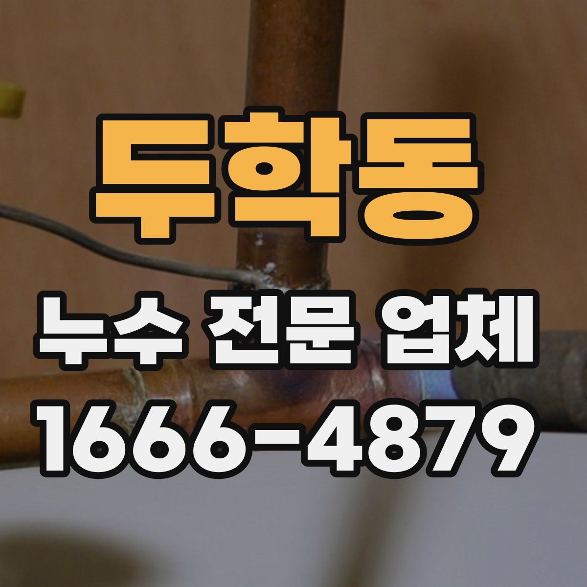 두학동 누수 전문 업체