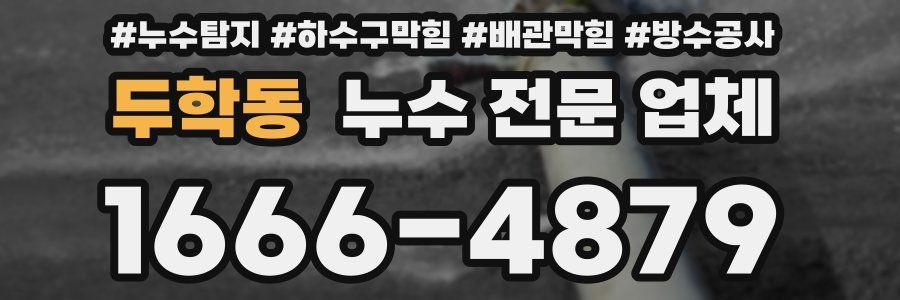 두학동 누수 전문 업체