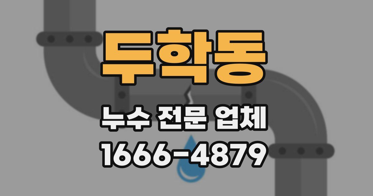 두학동 누수 전문 업체