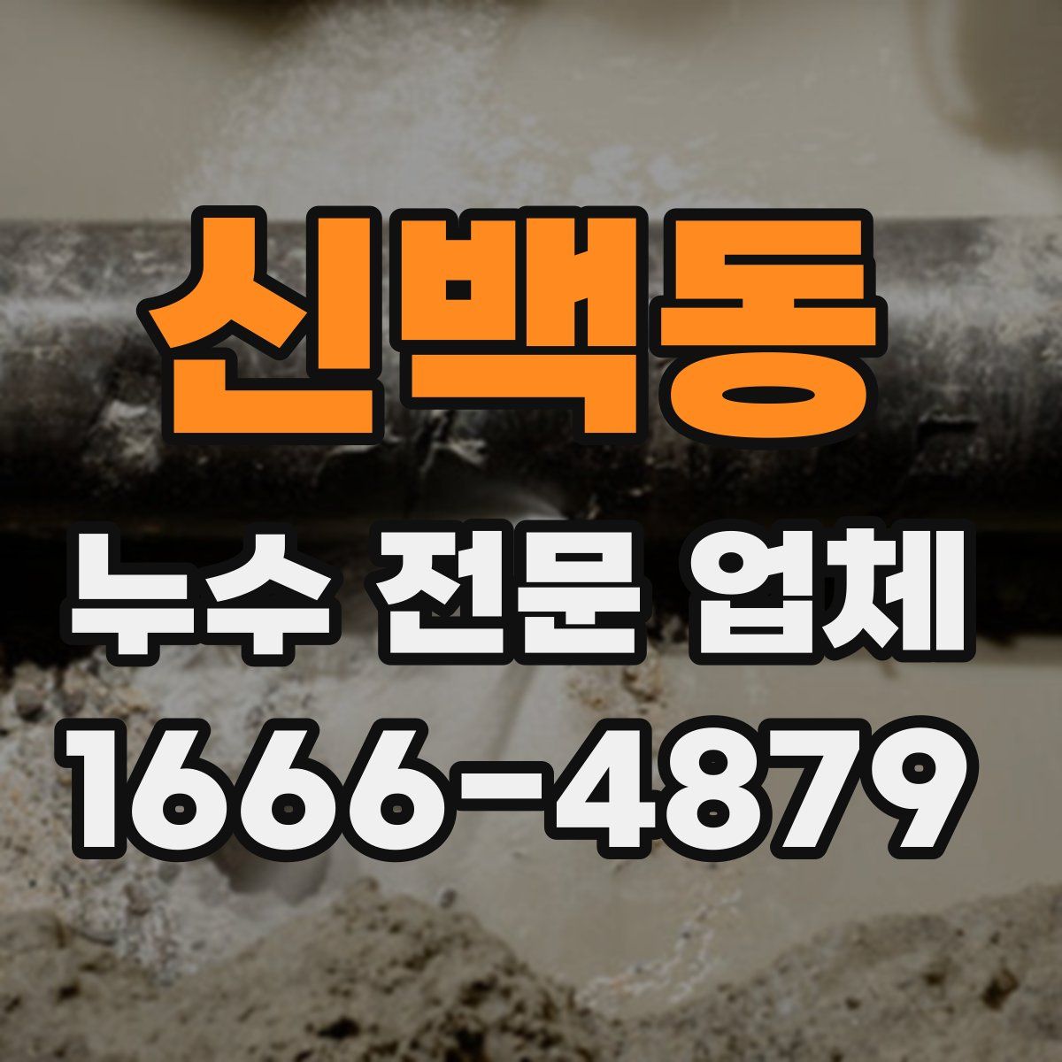 신백동 누수 전문 업체
