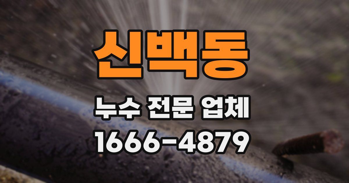 신백동 누수 전문 업체