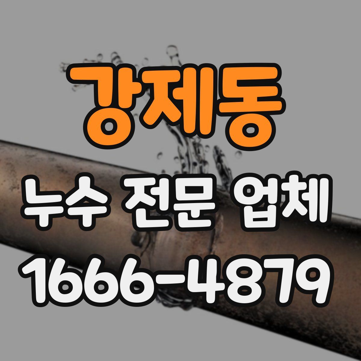 강제동 누수 전문 업체